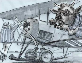 hiyieldbulldetailjpg